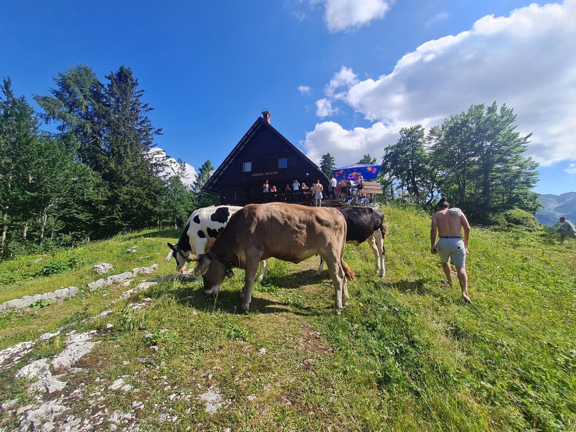 Chalet Burja At Vogel Mountain - Cable Car Access Or Hiking - Not Reachable With Car Bohinj Bagian luar foto